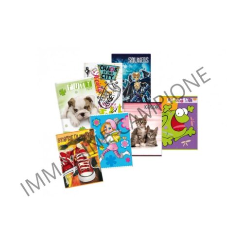 Maxi quaderno 80 gr Poolover