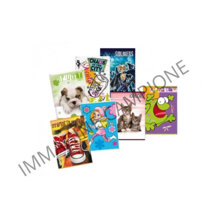 Maxi quaderno 80 gr Poolover